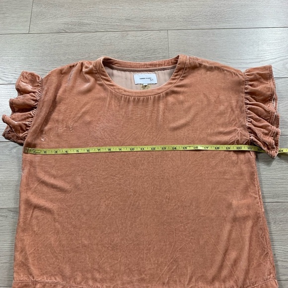 Current Elliott Emerge Ruffle Sleeve Velvet Pink Top - Picture 8 of 11